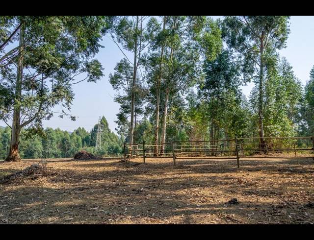 LAND FOR SALE IN GREENDALE